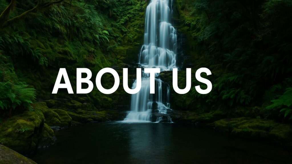 About Us Wishiview