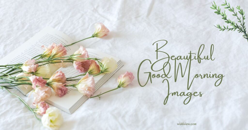 Beautiful Good Morning Images