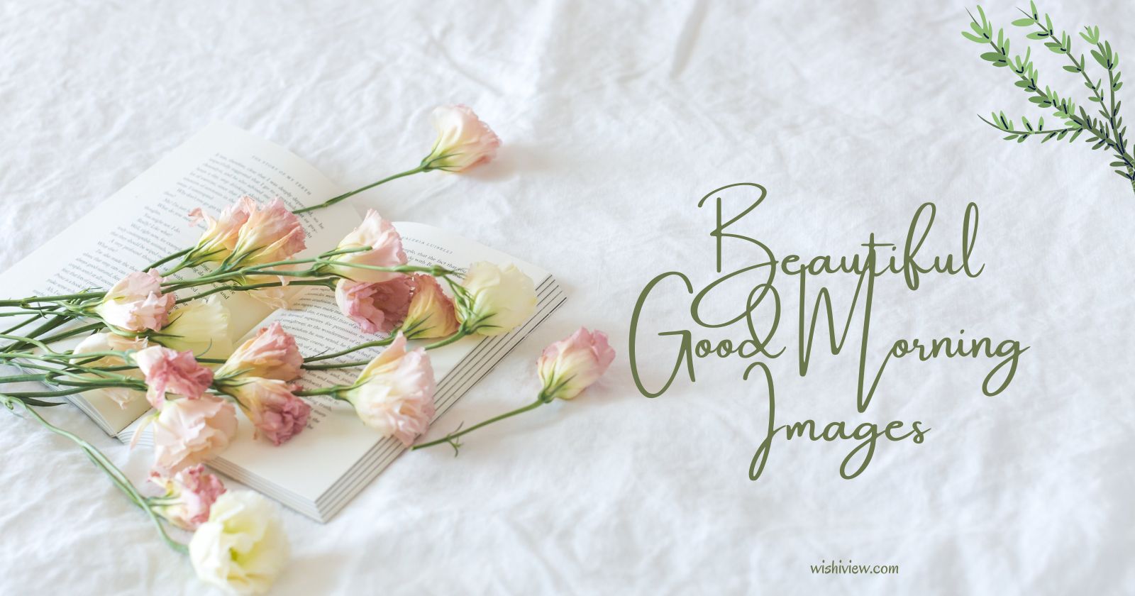 Beautiful Good Morning Images