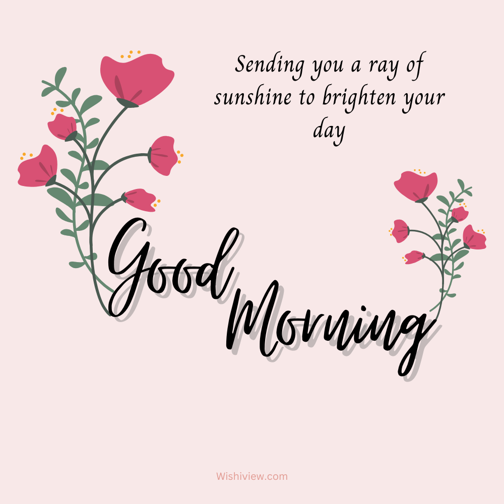 Sending you a ray of sunshine to brighten your day